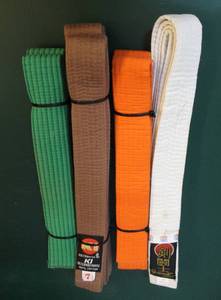 lot 27 image: Karate belts