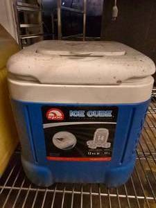 lot 175 image: Igloo 12 Qt Cooler