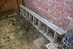 lot 159 image: Extension ladder (200 Lb. limit)