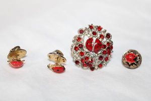 lot 265 image: Enamel fashion ladybug jewelry