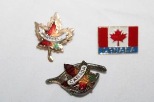 lot 300 image: Enamel fashion jewelry Canada pins