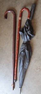 lot 113 image: Canes and umbrella