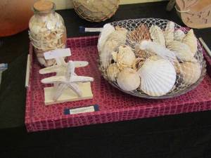 lot 169 image: Seashells plus with a purple tray