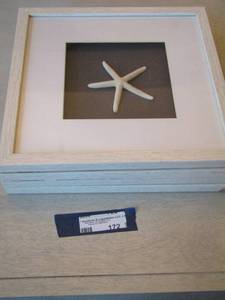 lot 172 image: Seashell framed art 1313  QTY 4