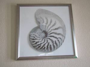 lot 210 image: Seashell Art FRAMED