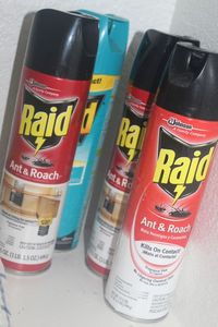 lot 213 image: Raid Insect Killer