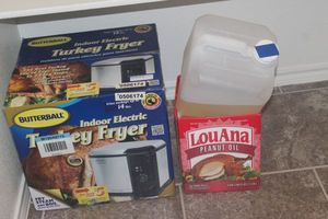 lot 235 image: Butterball Indoor Electric Turkey Frier with oil as shown