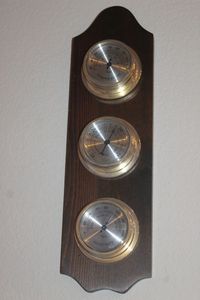 lot 260 image: Ambient Weather Wall Plaque