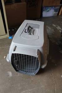 lot 111 image: medium size dog taxi