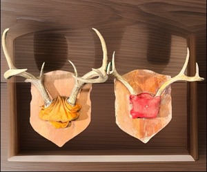 lot 81 image: Two Vintage Sets of Mounted Deer Antlers