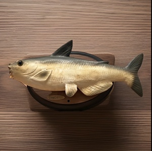 lot 203 image: Vintage Gemmy Cool Catfish Singing Talking Animated Fish&nbsp