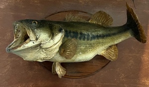 lot 209 image: Vintage Wall-Mounted Huge Big Mouth Bass
