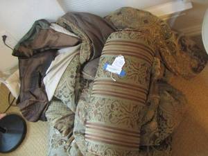 lot 33 image: king size comforter, bed skirt, 2 roll pillows