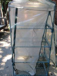 lot 251 image: Green outdoor MINI GREENHOUSE shelves f covered with a plastic cover