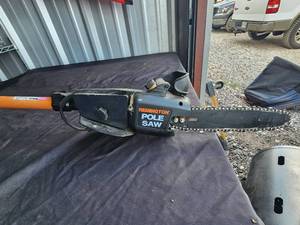 lot 97 image: Remington pole saw
