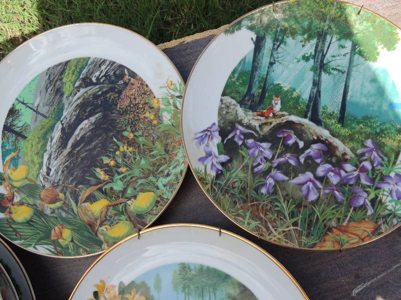 lot 521 image: ROYAL WINDSOR  -  WILDFLOWERS OF THE SOUTH     DECORATIVE PLATES  - QTY 12