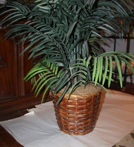 lot 27 image: Artificial palm plant
