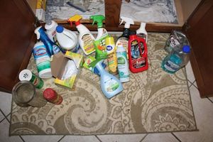 lot 206 image: Kitchen cleaning products