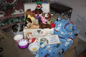 lot 242 image: Dog toy lot