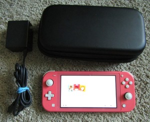 lot 328 image: Nintendo Switch with charge cord and carry case