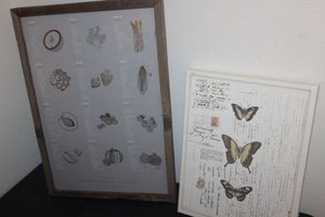 lot 283 image: Framed Seasonal Fruits & Vegetables calender Picture and stretched Canvas Butterfly Picture