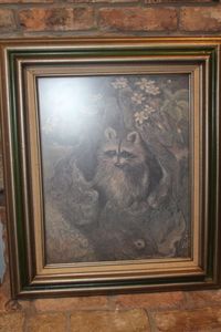 lot 295 image: Raccoon print Framed Artwork