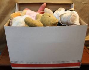 lot 192 image: Box full of stuffed animals took many pic the dear one has damage to the paws