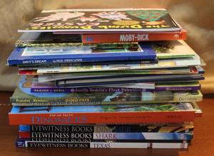 lot 200 image: Lot of kids books books like I spy and eyewitness books and many more