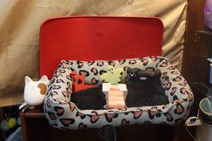 lot 223 image: Mixed lot dog bed dog toys and a door stopper with a dog on it a dog bank and more see pictures