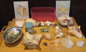 lot 327 image: Seashell lot and more see photo