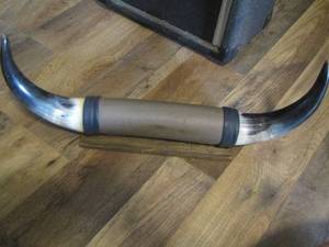lot 41 image: 18 LONGHORN WALL MOUNT