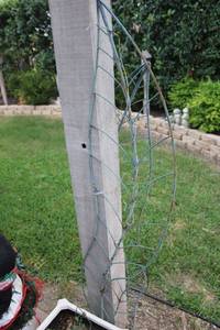 lot 169 image: set of 4 metal leaf trellises
