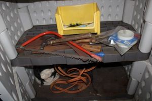 lot 330 image: Shelf contents