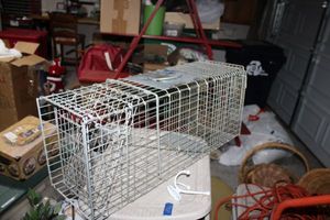 lot 287 image: Medium live animal trap