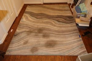 lot 36 image: 5 x 7 Better Homes and Garden area rug