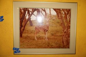 lot 27 image: Wall art deer picture (24W x 20H) and woodsy canvas art (35.5W x 23.5H)