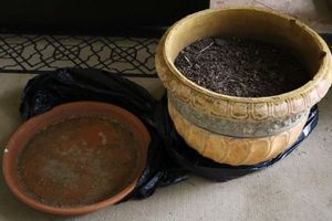 lot 152 image: Large planter with separate saucer base