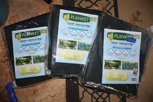 lot 133 image: Garden frost protection blankets