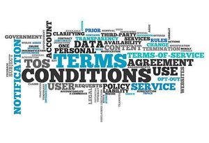 lot 6 image: TERMS & CONDITIONS