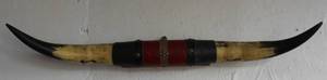 lot 3 image: Steer Horn