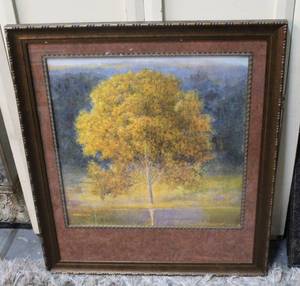 lot 166 image: Tree picture large see 2nt picture with yard stick to show size