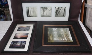 lot 441 image: Mixed Lot of tree and sunset pictures