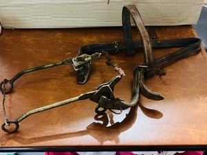 lot 90 image: Antique Horse Bit Decorative Wall Art