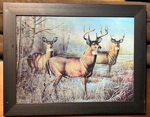 lot 168 image: Framed 3D Deer Art - A Different Picture Shows from Every Direction You Look