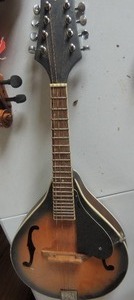 lot 409 image: Trinity river mandolin tear drop shape