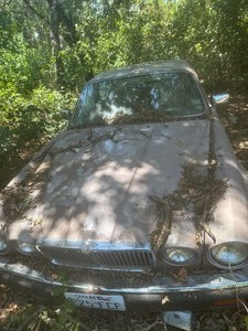 lot 1411 image: 1985 JAGUAR   EXECUTOR WILL HAVE TITLE BY PICKUP DAY ( LAST TAGGED 2000,  WILL NEED TO BE TOWED)