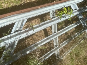 lot 1552 image: live stock gate 12ft