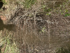 lot 1557 image: wire