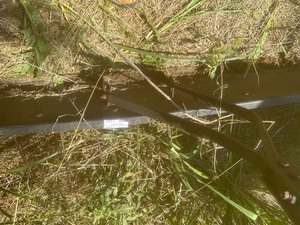 lot 1559 image: lawn thatcher