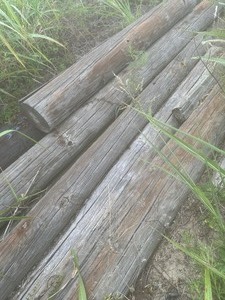 lot 1850 image: telephone poles 6-22 ft. qty 10 plus times the money